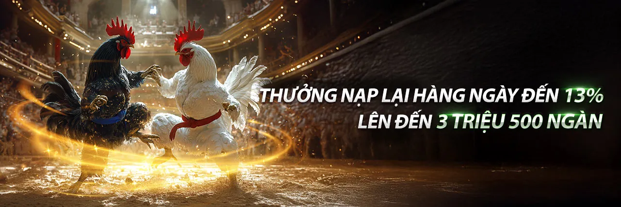 Đá Gà Trực Tiếp SM66
