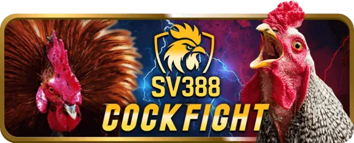 Cá Cược Thể Thao SM66