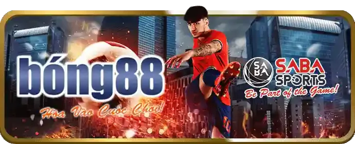 Đá Gà Trực Tiếp SM66